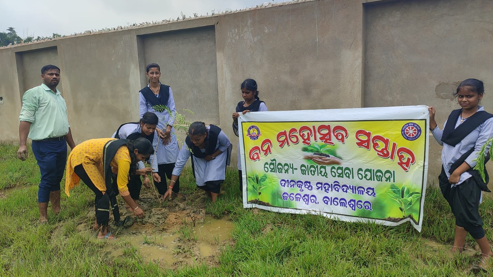 IG_641037_van mahotsav.jpg